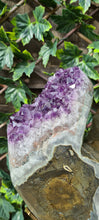 Load image into Gallery viewer, TREX AMETHYST ON SPINNING STAND
