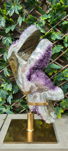 TREX AMETHYST ON SPINNING STAND