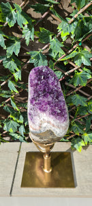 TREX AMETHYST ON SPINNING STAND