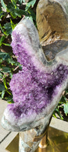 Load image into Gallery viewer, TREX AMETHYST ON SPINNING STAND
