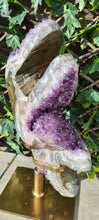 Load image into Gallery viewer, TREX AMETHYST ON SPINNING STAND
