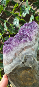 TREX AMETHYST ON SPINNING STAND