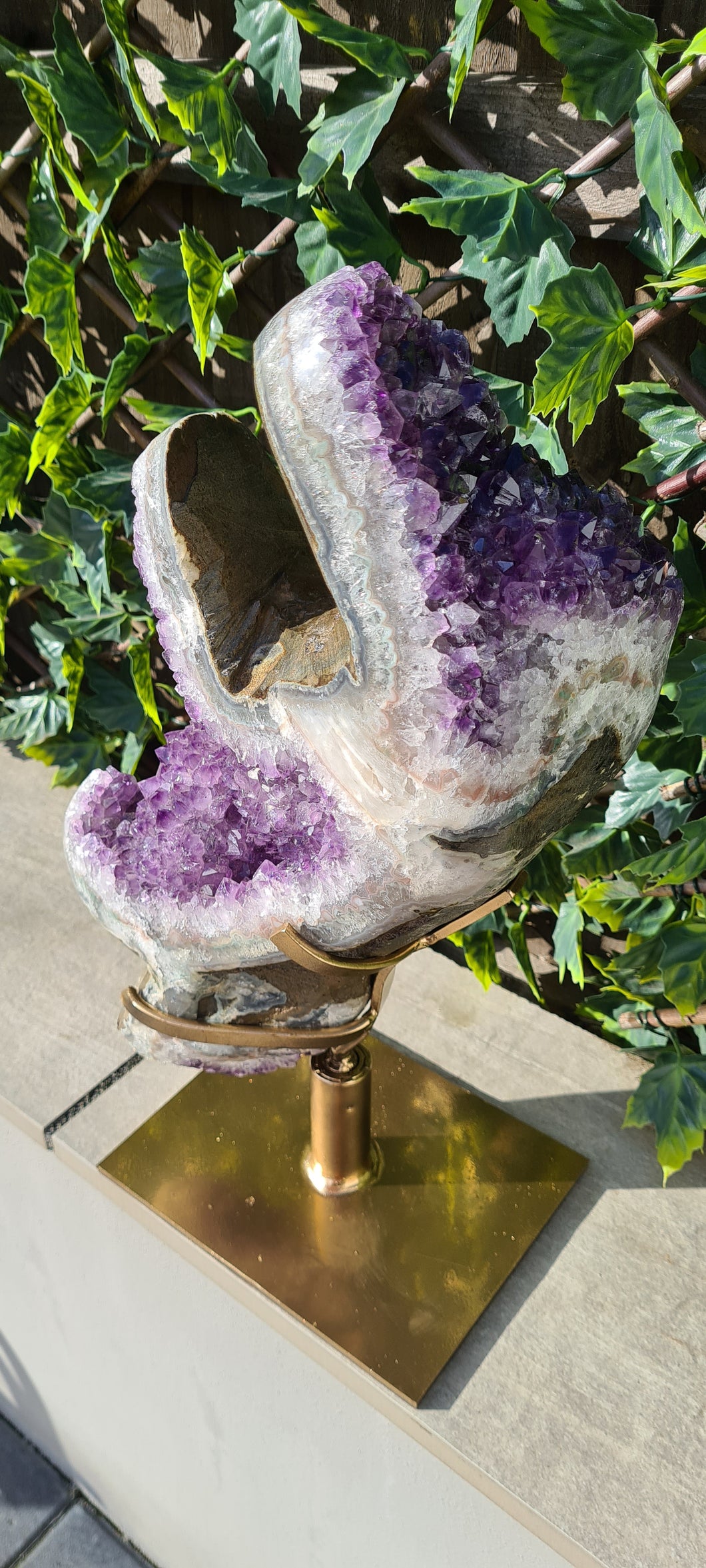 TREX AMETHYST ON SPINNING STAND