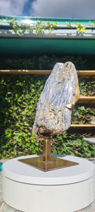 Blue Kyanite on Custom made gold stand