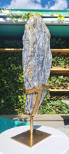Load image into Gallery viewer, Blue Kyanite on gold custom made stand
