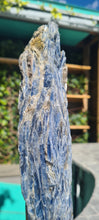 Load image into Gallery viewer, Blue Kyanite on gold custom made stand
