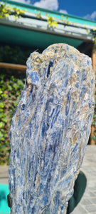 Blue Kyanite on gold custom made stand