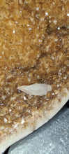 Load image into Gallery viewer, CITRINE wings with 6ft wingspan
