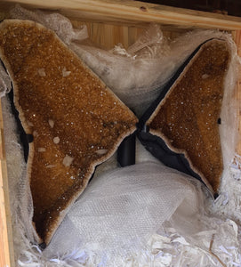 CITRINE wings with 6ft wingspan