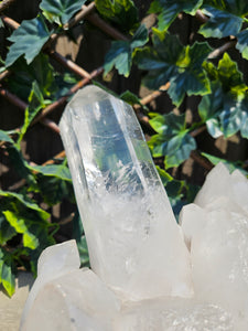 Quartz Lemurian Quartz Cluster Raw with Rainbows