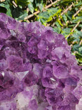 Load image into Gallery viewer, Amethyst on stand from Brazil - High Grade
