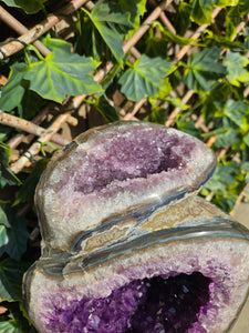 Amethyst Dual Color on stand from Brazil - High Grade - statement crystal - Double Colour Two tone Crystal