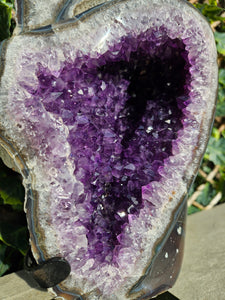 Amethyst Dual Color on stand from Brazil - High Grade - statement crystal - Double Colour Two tone Crystal