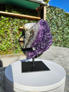 Amethyst on stand from Brazil - High Grade - statement crystal