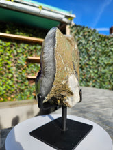 Load image into Gallery viewer, Amethyst Two tone dual colour on stand from Brazil - High Grade - statement crystal
