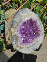 Load image into Gallery viewer, Amethyst Two tone dual colour on stand from Brazil - High Grade - statement crystal
