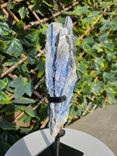 Load image into Gallery viewer, Blue Kyanite on custom made stand

