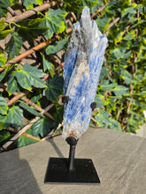 Load image into Gallery viewer, Blue Kyanite on custom made stand

