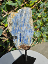 Load image into Gallery viewer, Blue Kyanite on custom made stand
