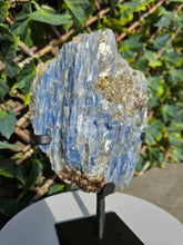Load image into Gallery viewer, Blue Kyanite on custom made stand
