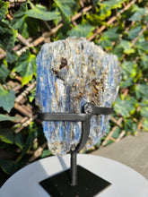 Load image into Gallery viewer, Blue Kyanite on custom made stand
