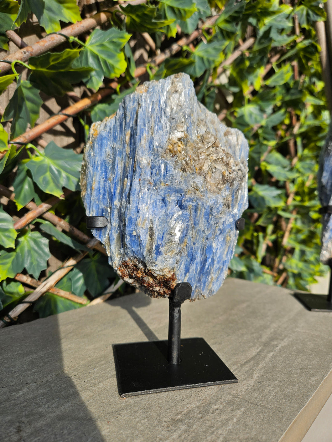 Blue Kyanite on custom made stand