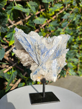 Load image into Gallery viewer, Blue Kyanite on custom made stand
