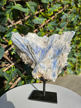 Load image into Gallery viewer, Blue Kyanite on custom made stand
