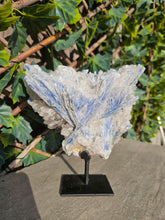Load image into Gallery viewer, Blue Kyanite on custom made stand
