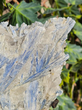 Load image into Gallery viewer, Blue Kyanite on custom made stand
