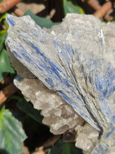 Load image into Gallery viewer, Blue Kyanite on custom made stand
