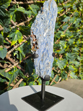 Load image into Gallery viewer, Blue Kyanite on custom made stand
