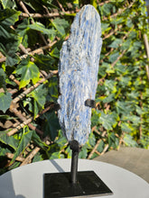 Load image into Gallery viewer, Blue Kyanite on custom made stand
