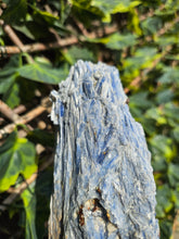 Load image into Gallery viewer, Blue Kyanite on custom made stand
