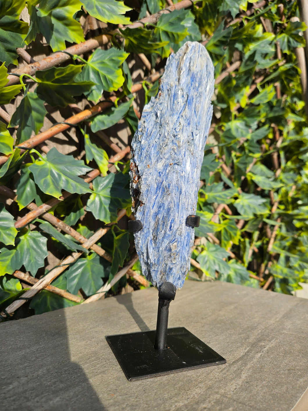 Blue Kyanite on custom made stand