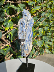 Blue Kyanite on custom made stand