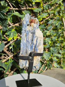 Blue Kyanite on custom made stand