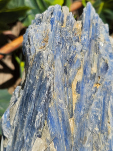 Blue Kyanite on custom made stand