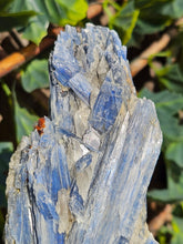Load image into Gallery viewer, Blue Kyanite on custom made stand
