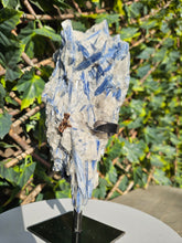 Load image into Gallery viewer, Blue Kyanite on custom made stand

