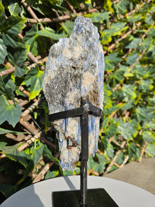 Blue Kyanite on custom made stand