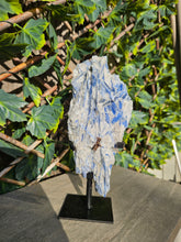 Load image into Gallery viewer, Blue Kyanite on custom made stand
