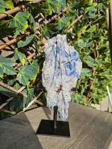 Blue Kyanite on custom made stand