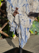 Load image into Gallery viewer, Blue Kyanite on custom made stand
