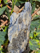 Load image into Gallery viewer, Blue Kyanite on custom made stand
