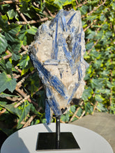 Load image into Gallery viewer, Blue Kyanite on custom made stand - The Face
