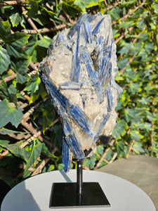 Blue Kyanite on custom made stand - The Face