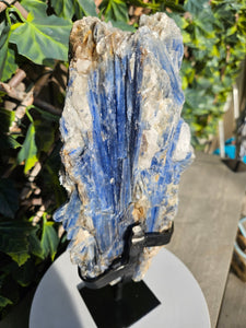 Blue Kyanite on custom made stand - The Face