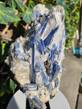 Load image into Gallery viewer, Blue Kyanite on custom made stand - The Face
