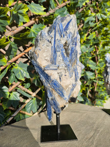 Blue Kyanite on custom made stand - The Face